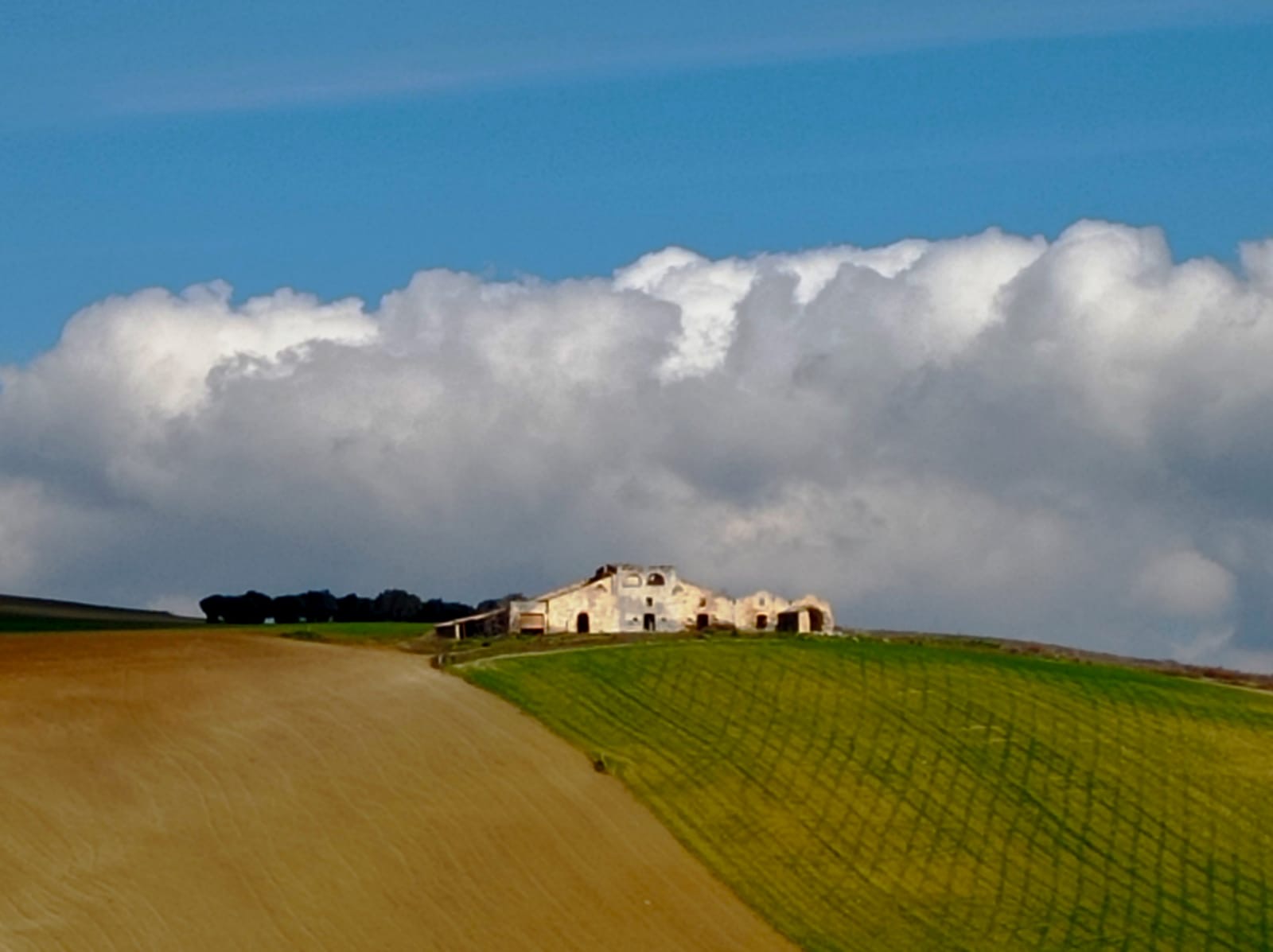 piano nazionale di ripresa e resilienza